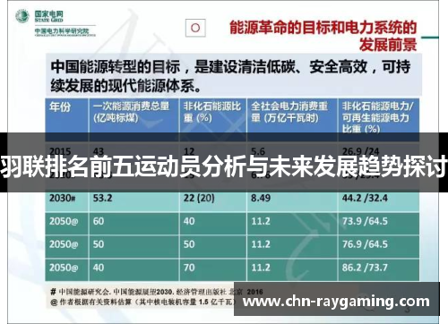 羽联排名前五运动员分析与未来发展趋势探讨