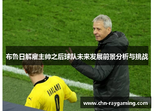 布鲁日解雇主帅之后球队未来发展前景分析与挑战