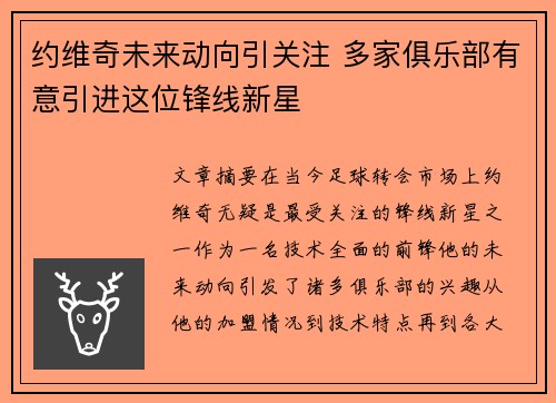 约维奇未来动向引关注 多家俱乐部有意引进这位锋线新星