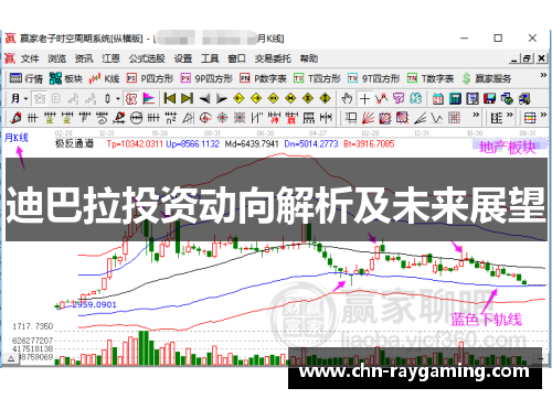 迪巴拉投资动向解析及未来展望