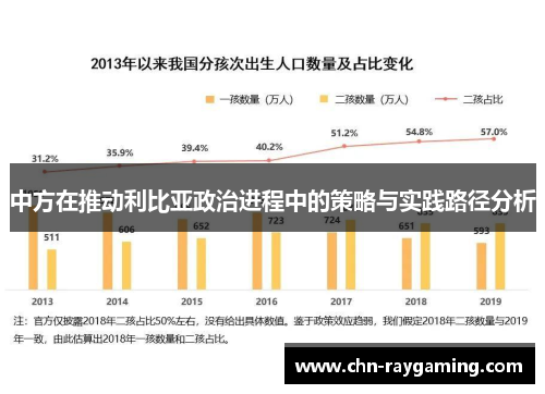 中方在推动利比亚政治进程中的策略与实践路径分析
